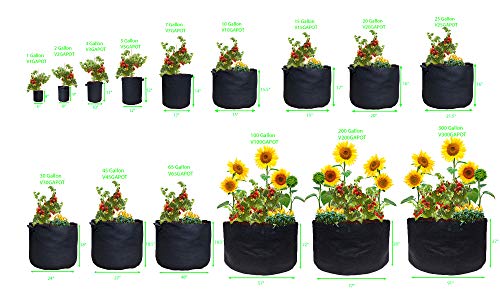 Viagrow V5Gapot-5 Kit Fabric Pot, Black #TOP6