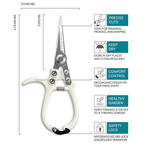 LOOPSEED Plant Pruning Shears Garden Trimming Scissors Precision Hand Pruner Herb Snips Flower Clippers Bonsai Trimmers Straight Sharp Blade Tapered Tip Ergonomic Handle Modern Garden Tools - Image 3