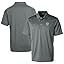 Las Vegas Raiders, Steel