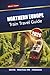 NORTHERN EUROPE TRAIN TRAVEL GUIDE 2026: Scenic Rail Routes, Itineraries, Maps, and Tips for Exploring Scandinavia and the Baltics