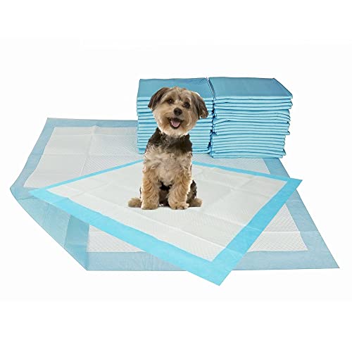 Mega Seco Tapete Higiênico 30 Und 65X60Cm