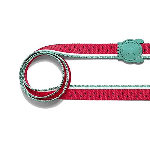 ZEEDOG Coleira para cães Lola@us size s