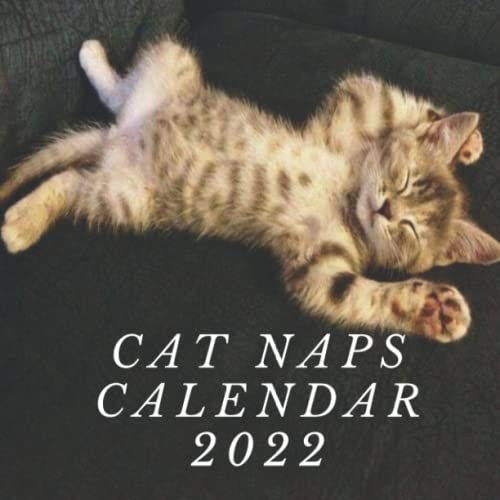 cat naps calendar 2022: Cat naps mini calendar 2022/Cat naps calendar 2022/ Cat Naps 12 Month 2022 Calendar January 2022 -December 2022: Sleepy Cats ... and kittens calendar/Animals calendar 2022