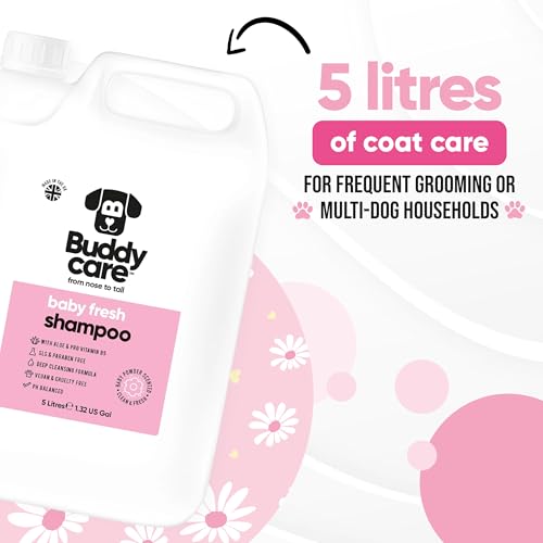 Baby Fresh Dog Shampoo von Buddycare - Für Müffelige Hunde Ab 8 Wochen - Baby-Puder-Duftendes Welpen-Shampoo Mit Aloe Vera und Provitamin B5 (5L)