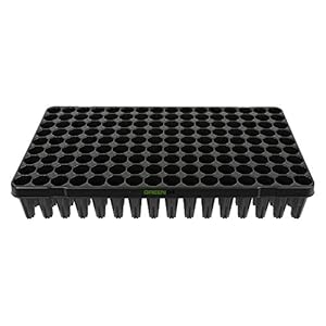 GREEN24 Anzuchtplatte 144 Töpfe extra hoch