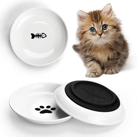 Quyimy Ceramic Cat Bowls Set with Non-Slip Base Cover