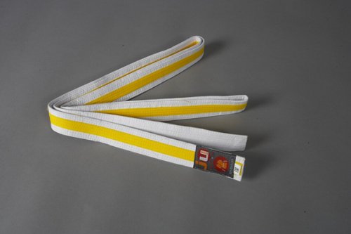 Ju-Sports Karate Gürtel Weiß - Budogürtel Mit Kanji Bestickung