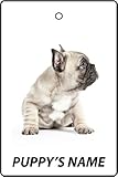 Puede personalizar este ambientador con el NOMBRE DE SU MASCOTA, haciéndolo así exclusivo.