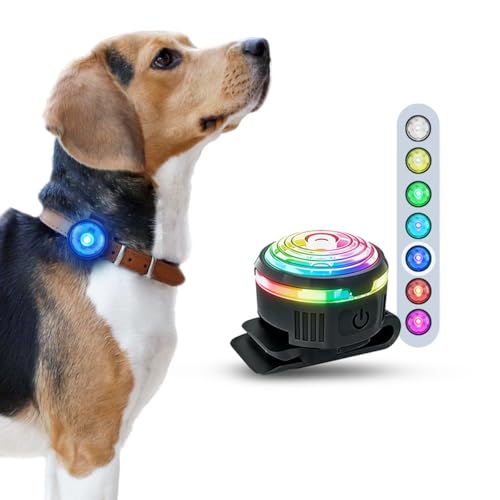 PAJ LIGHT MINI - LED Ultraluminoso per Collari e Pettorine - Cani Piccoli, Medi e Gatti - Regolazione Flessibile - 100% Impermeabile - 7 Colori - Sicurezza e Visibilità Notturna