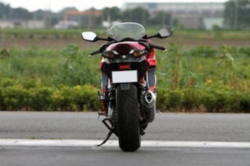 Amazon | アールズギア(r's gear) スリップオンマフラー ワイバン