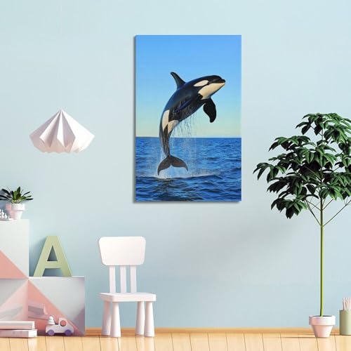 Orca sautant hors de la mer déco pour dynamiser un mur blanc