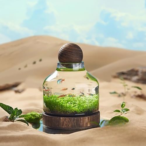 fancyflyKXbؐgCt zf Eiϋ㝁Ekrp rO/֑ ԎKKXbiόp (A)