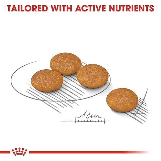 Image of Royal Canin Dermacomfort Mini for Small Dogs, Dog Dry Food, 1 kg | Reduced-Allergen Formula Helps Dogs Prone To Skin Irritation and Itching