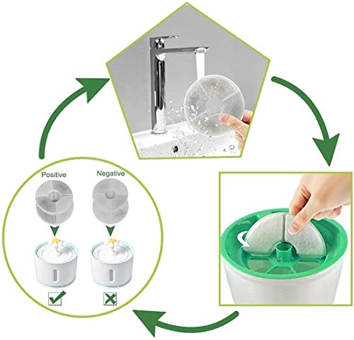 TNSEFNA Filterpatrone Filtri Fontana Gatto Filtro