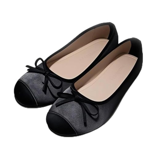 [KENPOGEN] XNGAgD oGV[Y [2cmq[] L4E { fB[X tbgV[Y ₷ pvX l ɂ