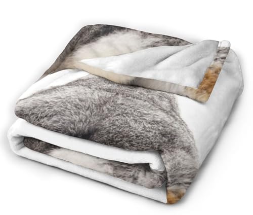 HGOD DESIGNS Grey Rabbit Isolated Blanket Throw Blanket Soft Comfortable for Sofa Chair Bed Office 130x150cm - Image 4