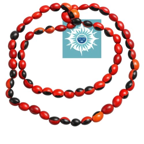 Collar de Peonia, Paeonia Santeria Ifa, Necklace Semillas de Peony Odi Bara Odun4