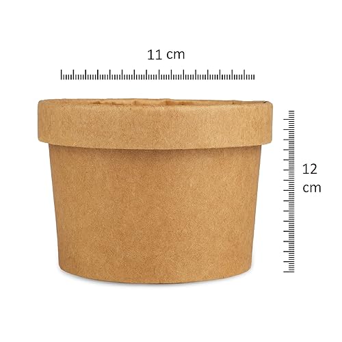 Image of Disposable Thick-Walled Craft Paper Food Container Bowl /Tub with lid, 750 ml, Pack of 15 - Brown