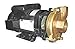DAYTON 2ZWT6 Pump,3 HP,1 Ph,240VAC