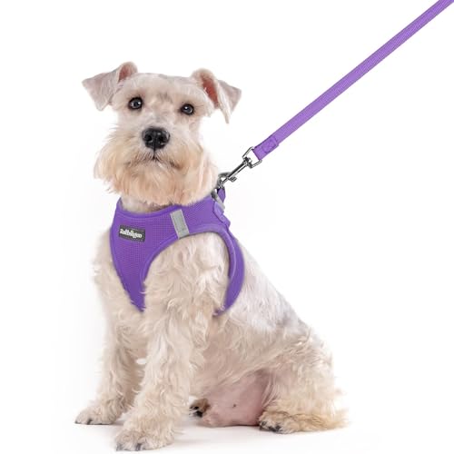 Image of rabbitgoo Dog Harness Medium Sized and Leash Set, Step-in Puppy Pet Vest