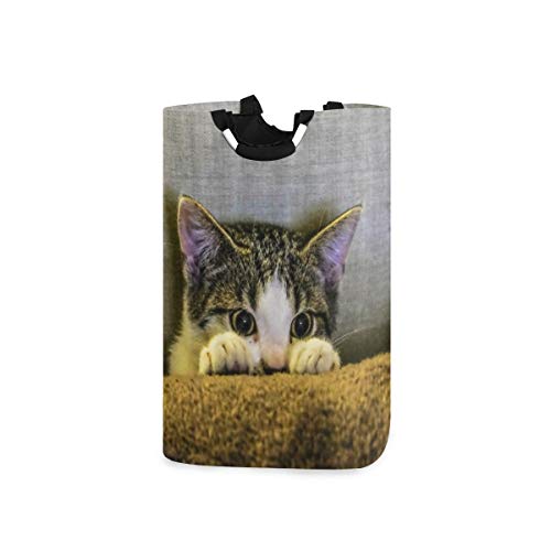 Wäschesack,Nette Katze reizender Kätzchen-Liebhaber, der Haustier-Blick-Fernsehen auf dem Sofa-kreativen Tier versteckt,Wäschesammler