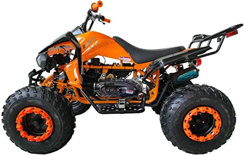 HHH 200cc Sports ATV with LED Headlights 200cc ATV Automatic Tran...
