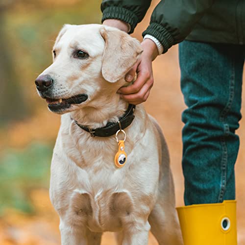 Wasserstein Pu Leather Keychain Holder Compatible With Apple Airtag - Keyring And Protective Case Cover For Gps Tracker (4 Pack, Yellow/Brown/Blue/Red) #TOP5