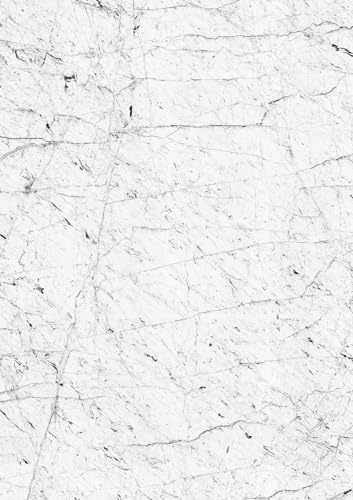 Rasch Tapete 364330 - Fototapete auf Vlies mit Marmoroptik in Weiß und Schwarz aus der Kollektion Factory V - 3,00 m x 2,12 m (LxB)