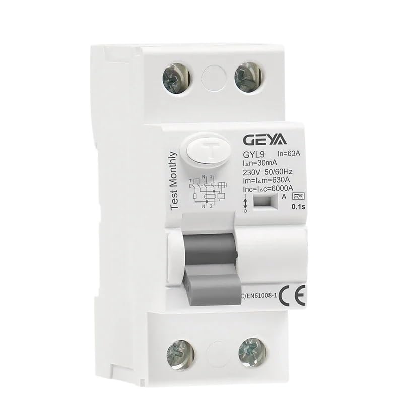 Interruttore Magnetotermico Differenziale Interruttore Differenziale Di Tipo GYL9 A RCD AC ELCB 2 Poli 40 63 30 MA 100 300 RCCB(2P 40A,300mA)