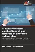 Simulazione della combustione di gas naturale in altoforno siderurgico (Italian Edition) 6209009883 Book Cover
