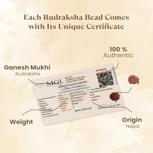 Image of Astrotalk Ganesh Mukhi Rudraksha | Remove Obstacles & Unlock Success | Wisdom, Protection & Confidence | Sacred Rudraksha Bead for Women & Men