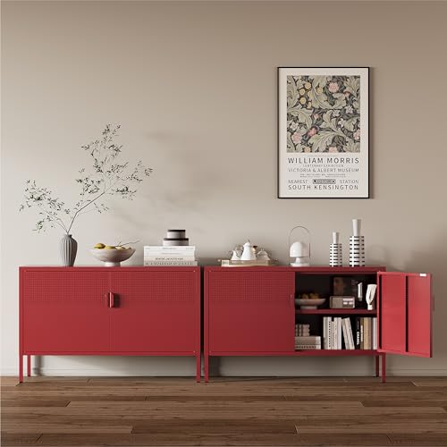 Image of Metal Storage Cabinet,2 Door TV Stand, Metal Mesh Accent Cabinet