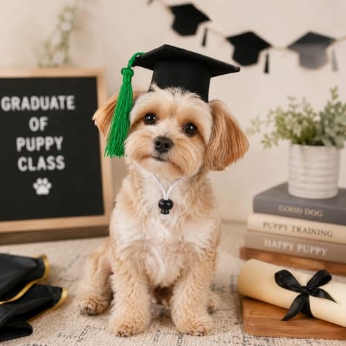 Gorro de Graduación para Perros y Gatos Tamaño M miniatura 3