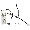 Delphi FG0138 Fuel Pump Module
