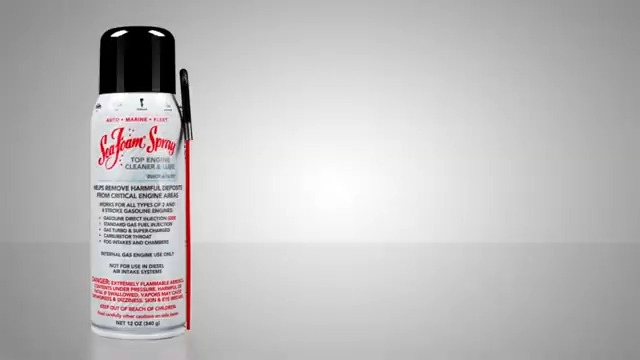 Amazon.com: Sea Foam Spray Upper Engine Cleaner and Lube, SS14, 14