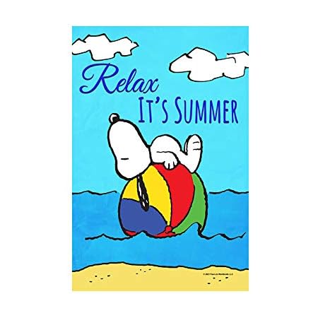 Amazon Com Flagology Com Peanuts Peanuts Relax It S Summer Snoopy House Flag 28 X 40 Officially Licensed Peanuts Summer Patio Lawn Garden