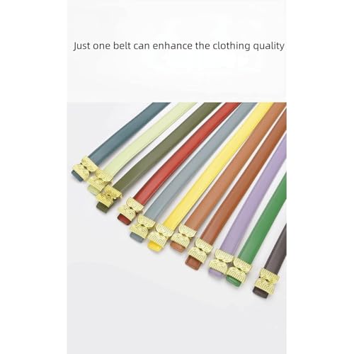 Skinny Belts, Women's Belts Leather Fashion Versatile Decorative Suit Dress Jeans Waist Belt3