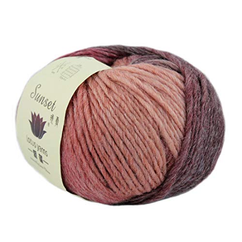Lotus Yarns Multicolor Merino Wool DK Weight Yarn 20X50g Hanks for Hand Knitting and Crocheting 262