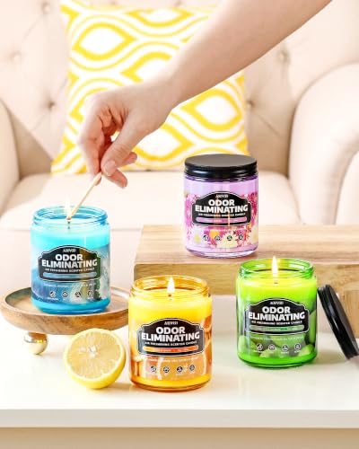 Image of AOOVOO Green Apple Odor Eliminating Highly Fragranced Candle - Eliminates 95% of Pet, Smoke, Food, and Other Smells Quickly, Non Toxic Air Freshing Soy Candle, Up to 50 Hours Burn time