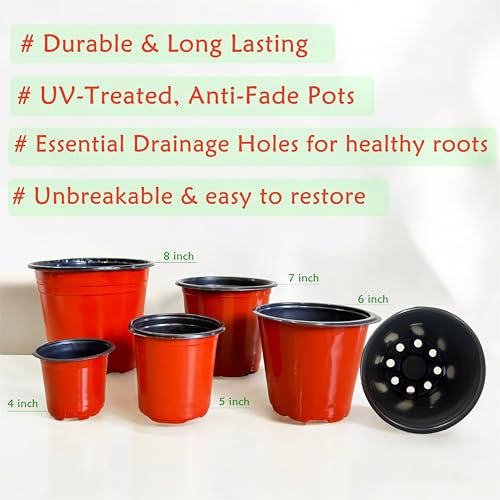 Image of Sapling's World Thermoformed Plastic Pots | 8 Inch Size | Terracotta Colour | Unbreakable |Multiple Holes for Better Drainage |Best for Indoor & Outdoor Plants (Pack of 24)
