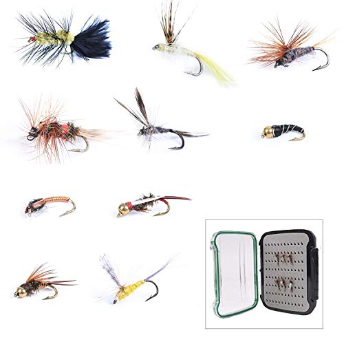 MAXIMUMCATCH Fliegenfischen 10 Stücks Fliegen mit Fliegenbox Nass und Trocken Fliegen, Nymphen Streamer Kunstköder Fliegen NDS B Box