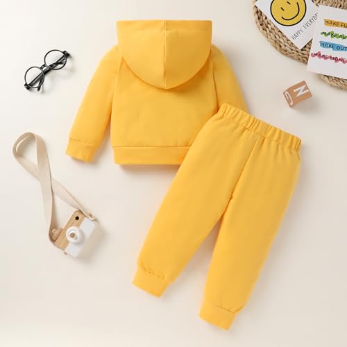 Image of YOUNGER STAR Toddler Baby Boy Girl Clothes Fall Winter Outfits Long Sleeve Hoodie Sweatshirt Sweat Pants Cotton Sweatsuits