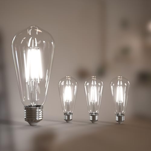 Image of Jensense Edison Bulbs E26 LED Bulb 60 Watt Equivalent, Vintage LED Light Bulbs CRI90+ ST19, Dimmable Clear Light Bulbs (5000K Daylight, 6watt-4 Pack)