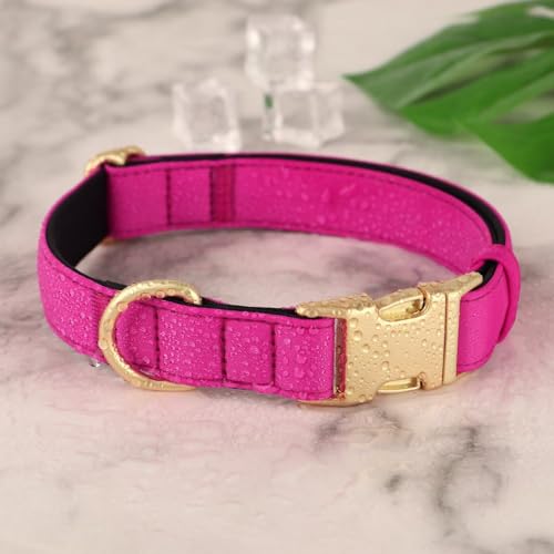 Didog Hundehalsband aus Nylon, weich gepolstert, strapazierfähiges Hundehalsband mit Schnellverschluss-Metallschnalle, leichtes und atmungsaktives Hunde Halsband für kleine Hunde,Hot Pink,S