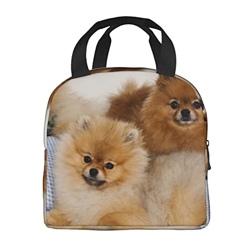Debou Cute Pomeranian Insulated Lunch Bag Cooler Tote Reusable Leakproof Lunch Box Easy Clean For Work Office Picnic Beach Or Travel #TOP2