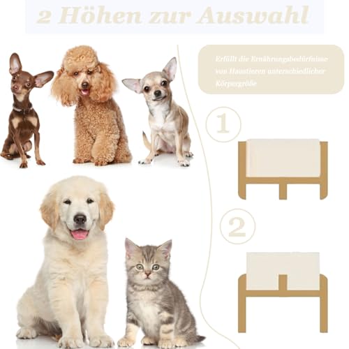 Cnwinu Hunde Napfset, Hundenapf Erhöht mit 15,5 cm Ständer, Hundenapf Keramik, Futternapf Hund für Kleine und Mittelgroße Hunde, Futterstation, Fressnapf Hund und Wassernapf, 2 x 850 ml (Grau)