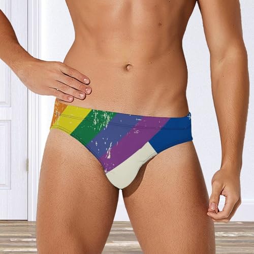 Vintage Rainbow Swedish Flag Printed Swim Briefs for Men Sexy Bikini Swimwear Elastic Beach Trunks Bathing Suit2