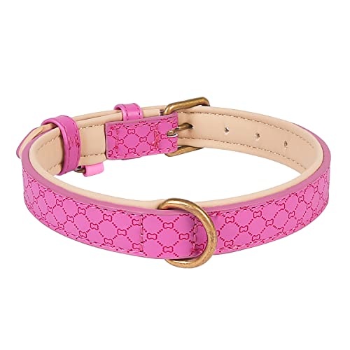 Basic Classic Luxury Padded Leather Dog Collar - Rust Proof Brass Strong Leather Collar Heavy Duty Alloy Hardware Best for Small, Medium, Large Dogs - Image 6