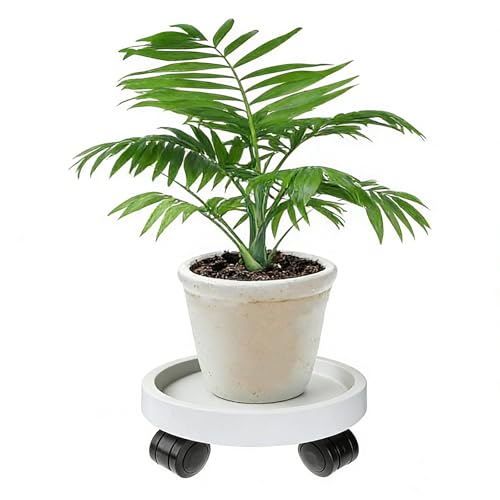 Aissiora ���u���� �L���X�^�[�t�� �󂯎M �A�ؔ� �ϗt�A���̑� �� ���M �t�����[�|�b�g�X�^���h ���o�C���t�����[�X�^���h �K�[�f�j���O�X�^���h �ړ��ȒP 360°��]�L���X�^�[ �B���L���X�^�[ �ی^ (���a19cm)