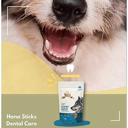 Kit 5 Snacks Hana Healthy Life Dental Care- Cuidado C/os Dentes- P/Cães Adultos- 100g